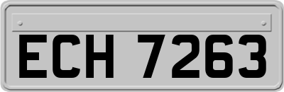 ECH7263