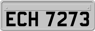 ECH7273