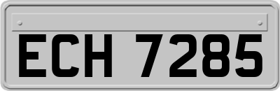 ECH7285