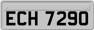 ECH7290