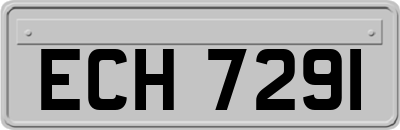 ECH7291