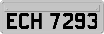 ECH7293