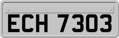 ECH7303