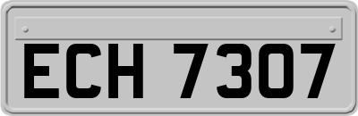 ECH7307