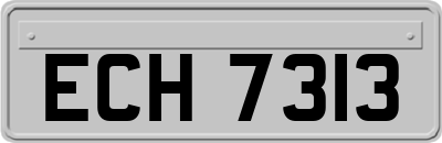 ECH7313