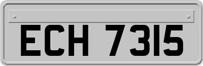 ECH7315