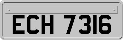 ECH7316
