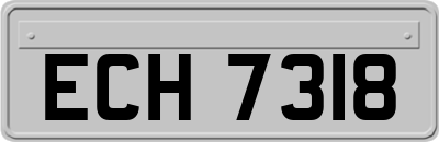 ECH7318