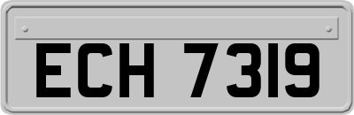 ECH7319