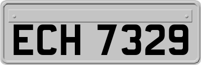 ECH7329