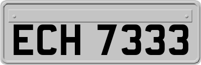 ECH7333