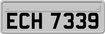 ECH7339