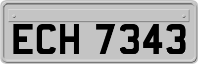 ECH7343
