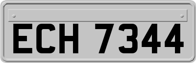 ECH7344