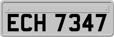 ECH7347