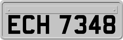 ECH7348