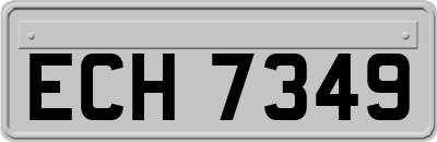 ECH7349