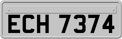 ECH7374