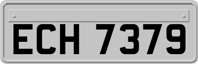 ECH7379