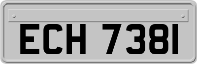 ECH7381