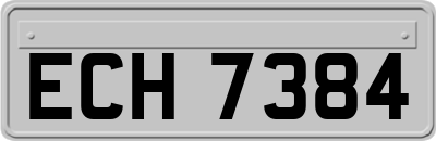 ECH7384