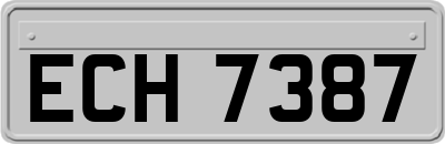 ECH7387