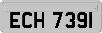 ECH7391
