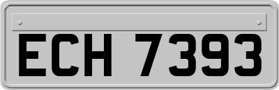 ECH7393