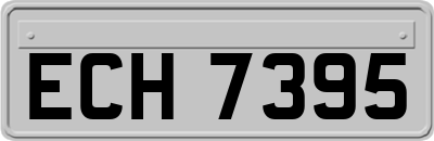 ECH7395