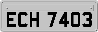 ECH7403