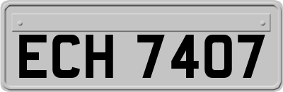 ECH7407