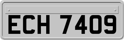 ECH7409