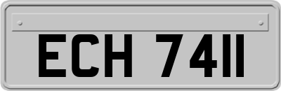 ECH7411