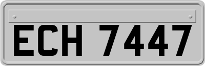 ECH7447