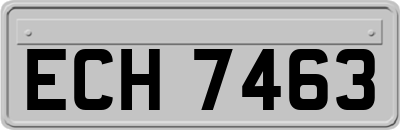 ECH7463