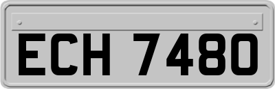 ECH7480