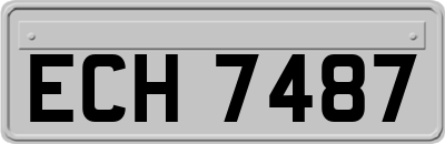 ECH7487