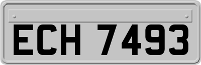 ECH7493