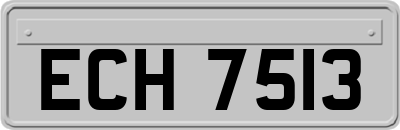 ECH7513