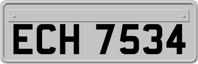 ECH7534