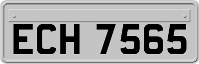 ECH7565