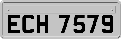 ECH7579