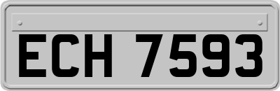 ECH7593