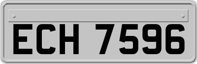 ECH7596