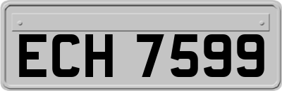 ECH7599
