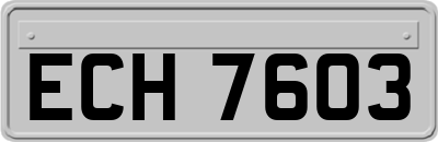ECH7603