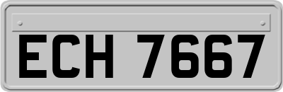ECH7667