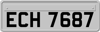 ECH7687
