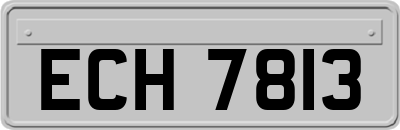 ECH7813