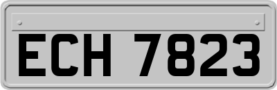 ECH7823